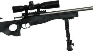 Crickett 22 LR Precision Rifle Black Package Stainless .22 LR Single Shot 16 1/8" Barrel