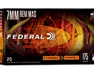 FUSION 243WIN 95GR FSP 20/200