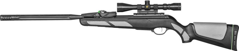 Gamo Swarm Viper 10X GEN3I Inrtia 22