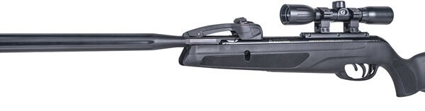 GAMO SWARM WHISPER .22 W/SCP