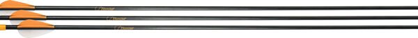 BEAR ARCHERY YOUTH SAFETYGLASS - ARROWS 28" 3PK