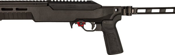Franklin Armory F22 Semi-Automatic Pistol - Black | .22LR | 8" Barrel | Installed BSFIII Trigger | SB Chassis and Brace
