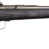 CHIPMUNK RIFLE 22LR - STAINLESS/BLACK LAMINATE