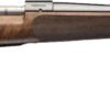 WINCHESTER MODEL 70 SUPER - GRADE 6.5CM 22" CLARO AAA