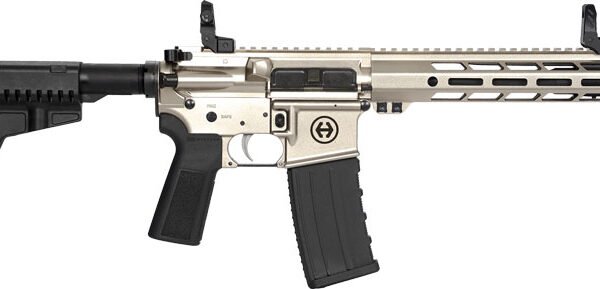 HIPOINT PISTOL HP-15 5.56 - 10.5" 30RD BLADE BRACE SILVER