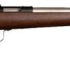 CRICKETT RIFLE G2 22LR - S/S WALNUT