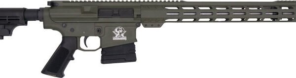Great Lakes Firearms .308 Winchester Rifle .308 Win 10rd Magazine 16" Stainless Barrel 15" MLOK Rail ODG Finish