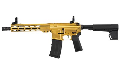 HIPOINT PISTOL HP-15 300 AAC - 10.5" 30RD BLADE BRACE GOLD