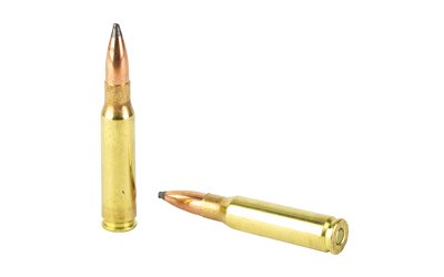 Rem Speer 308Win 180gr Pspbt 20/200 - Image 4