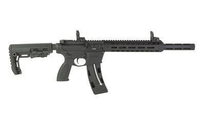 Retay RA1522 Vgrd 22LR 16" 25rd MLOK - Image 2