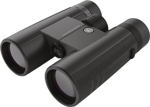 Sig Sauer Buckmasters Binocular 10x42mm Black