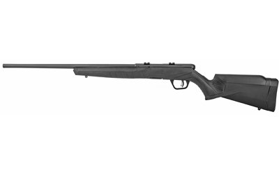 Savage Arms B17 F Rifle 17 HMR 10/rd 21" Barrel Black