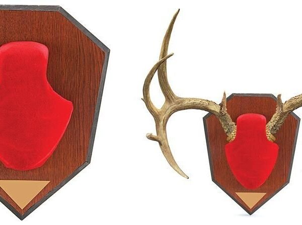 Allen Antler Mounting Kit - Red Skull