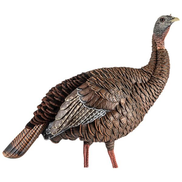 Avian-X HDR Hen Turkey Decoy