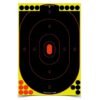 Birchwood Casey Shoot NC 12 x 18 Inch Silhouette 5/ct