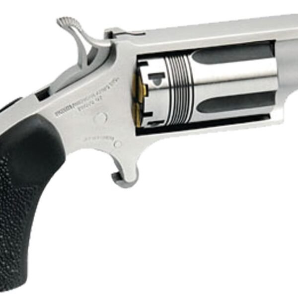 NAA WASP SNUB 22MAG 1-1/8" BRL