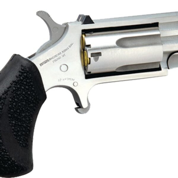 NAA PUG-T .22MAG W/XS TRITIUM SIGHTS