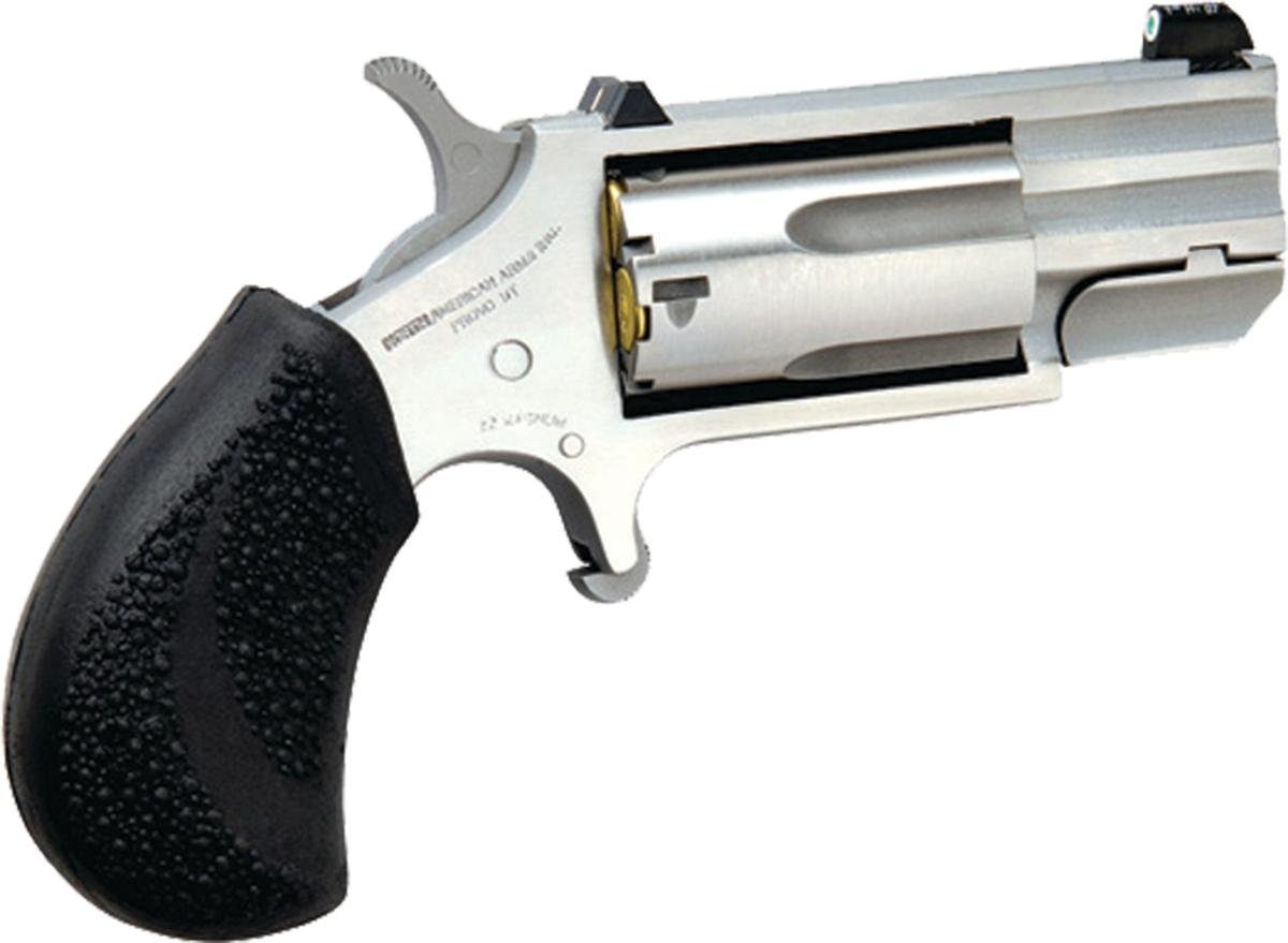 NAA Pug-T .22Mag w/XS Tritium Sights