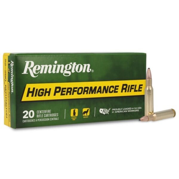 REM 22-250 55GR PSP 20/200
