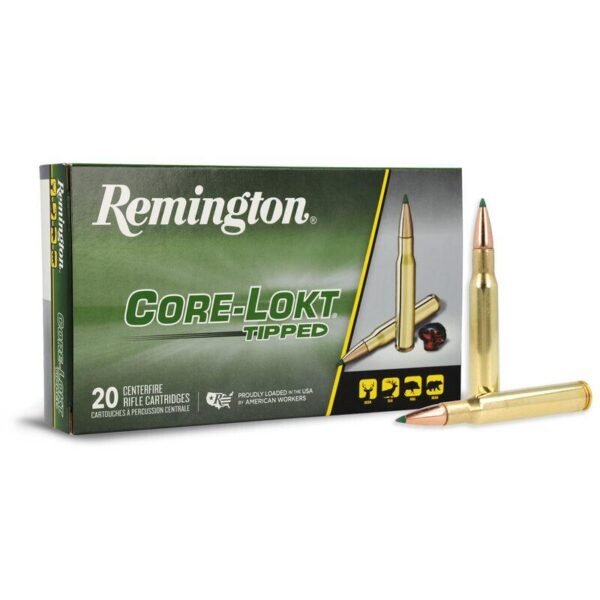 REM 308 WIN 180GR CLOK TIPPED 20/200