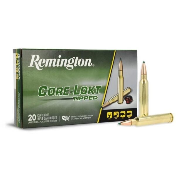 REM 300 WIN MAG 180GR CL TIP 20/200