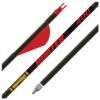 Gold Tip Hunter 300 2in Raptor Vanes - 1/2dz