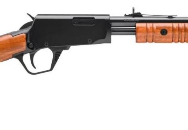 ROSSI GALLERY 22WMR 20" 12RD WOOD